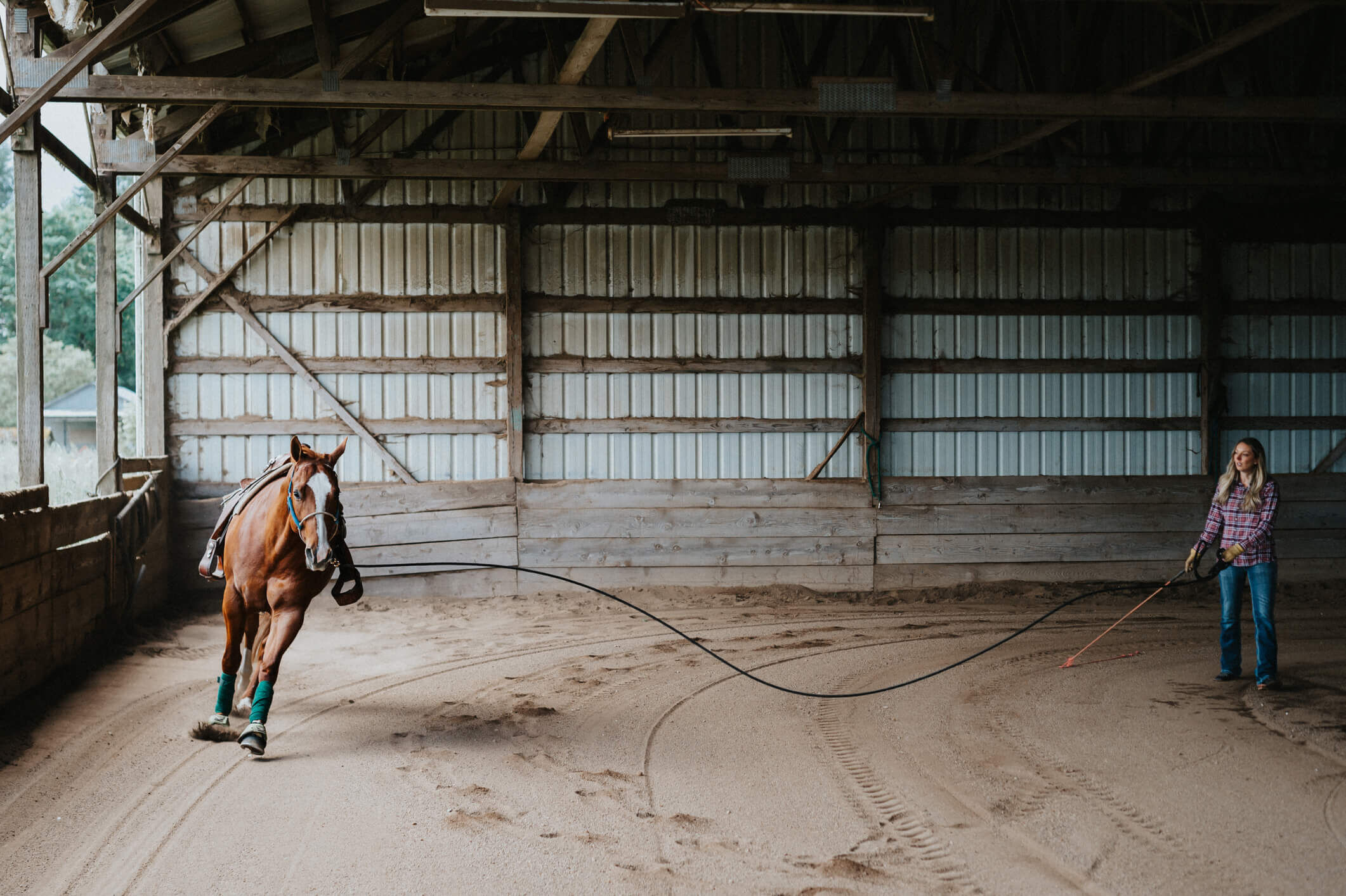 paard beweging
